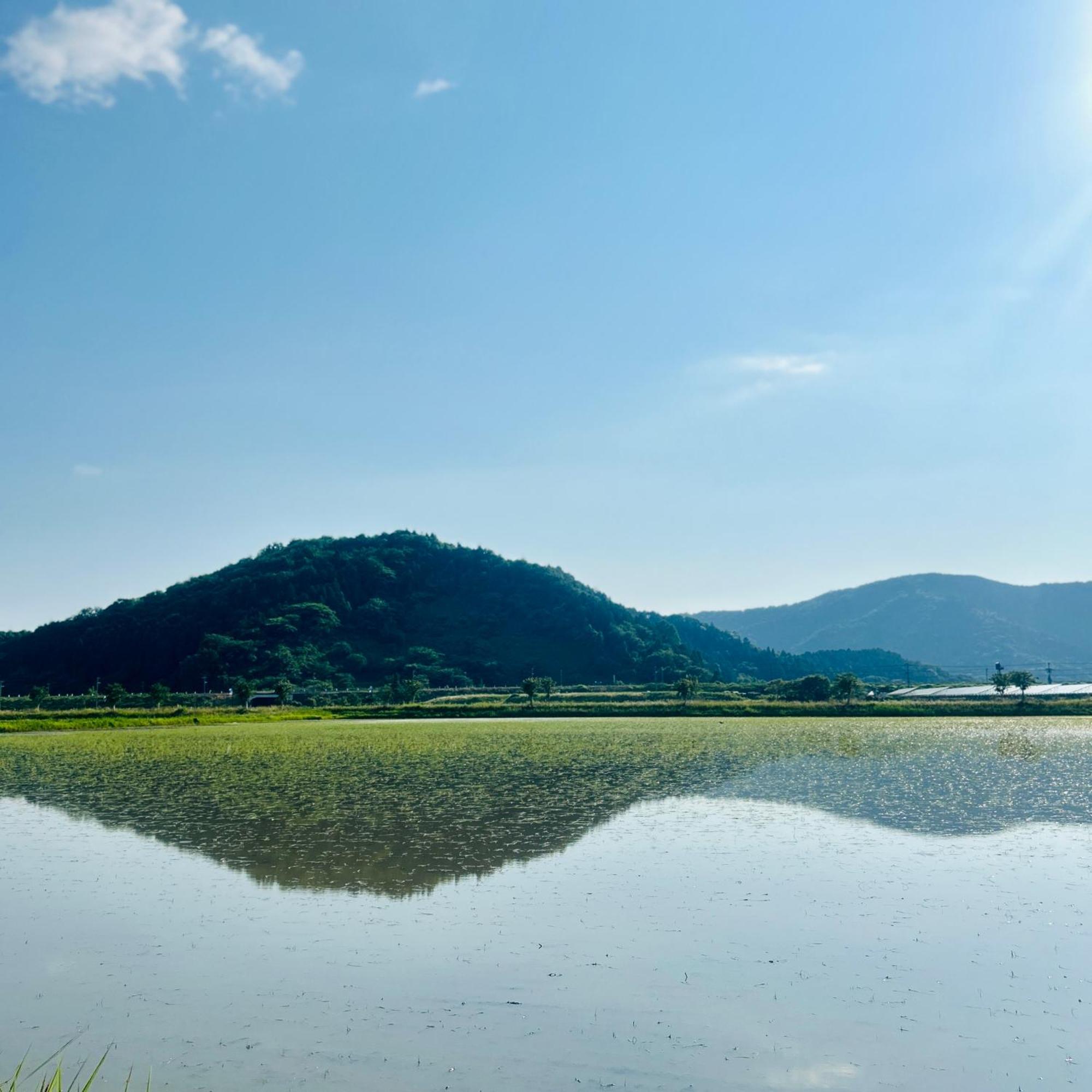 湖北 寺の宿-去-来-現ko-Rai-Gen 나가하마 외부 사진